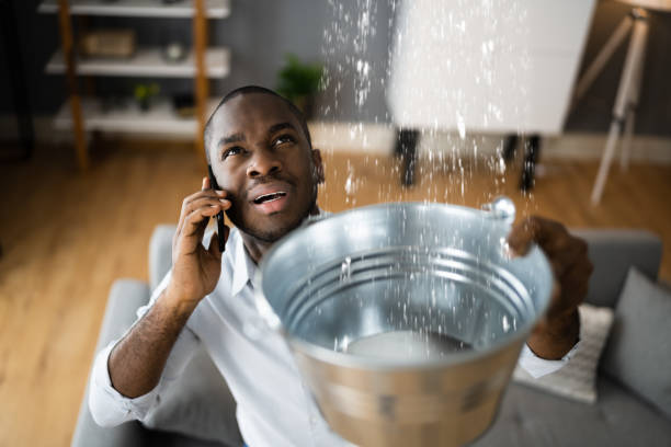 Best Carpet water damage restoration  in Hyde Rk, PA