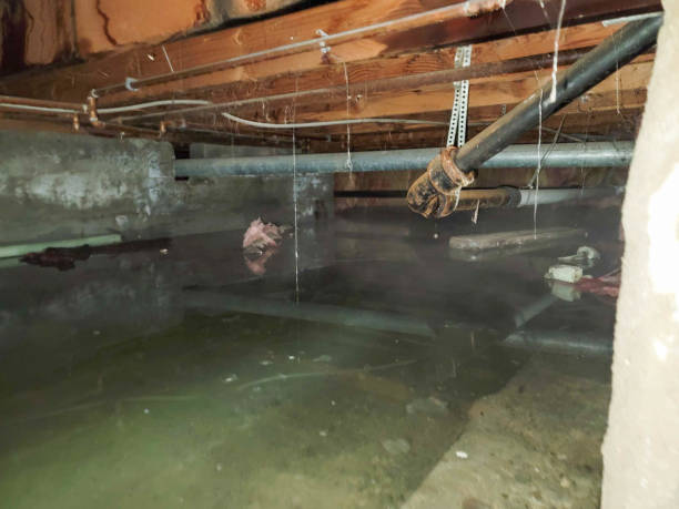 Best Water damage restoration near me  in Hyde Rk, PA