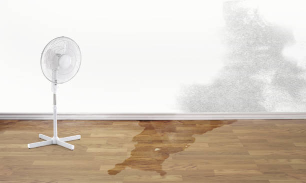 Best Local water damage restoration  in Hyde Rk, PA