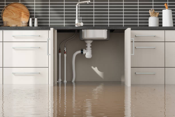 Best Flooded house restoration  in Hyde Rk, PA