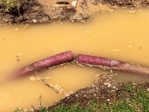 Carpet water damage restoration in Hyde Park, PA